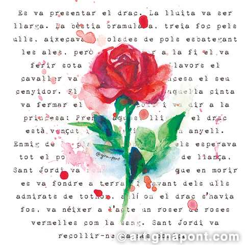 Postcard made in watercolor to congratulate the Diada de Sant Jordi. In the foreground, a rose in watercolor and behind the final part of the legend of Sant Jordi, just when the most beautiful rose is born from the blood of the dragon.
